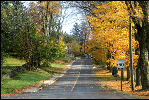 fall in Port Dover, Real estate Port Dover, Retire Southern Ontario