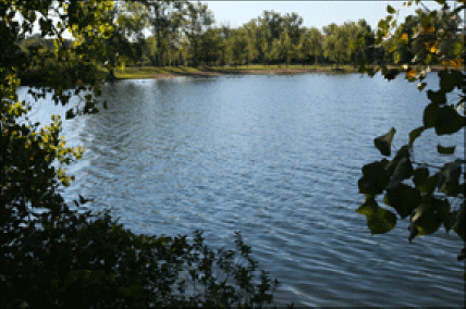 Photograph of lake in Waterford, Gold Coast of Ontario