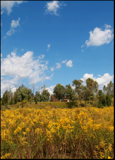 Photograph of house on hill, investment property on the Gold Coast, south coast of Ontario