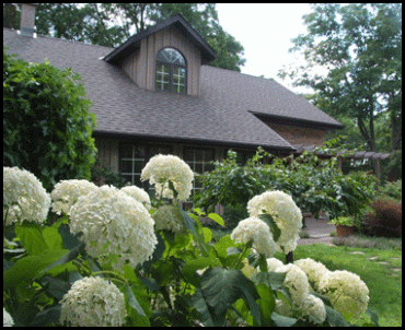Photograph of flowers and house in Lynedoch, on the Gold Coast in southern Ontario