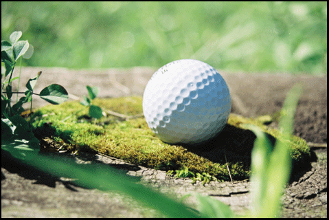 Port Dover Golf Courses for sale from the MLS  investment property  on the Gold Coast in southern Ontario