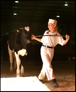 Photograph of girl and cow at the Norfolk County Fair in Simcoe, on the Gold Coast in southern Ontario