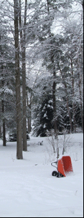 Photograph of snow on ground in Simcoe, on the Gold Coast in southern Ontario