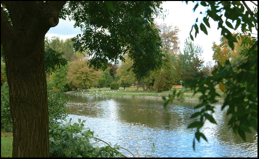 Photograph of the Lynn River in Simcoe, on the Gold Coast in southern Ontario