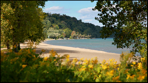 Photograph of east beach in Turkey Point on the Gold Coast in Southern Ontario