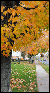 Waterford, home of pumpkinfest, on the Gold Coast south coast of Ontario