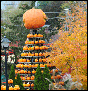 Photograph of pumpkins in Waterford, in Ontarios Gold Coast