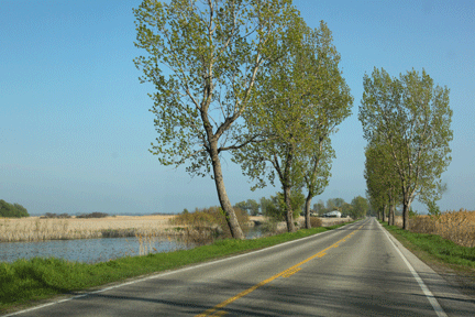 Photograph of the causeway leading to Long Point Beach, investment property  on the Gold Coast of Ontario, on Lake Erie