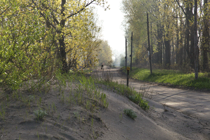 Photograph of sand duns and road on Long Point Beach, investment property on the Gold Coast of Ontario, on Lake Erie