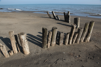 Photograph of old pier pilons on Long Point Beach, investment property  on the Gold Coast of Ontario, on Lake Erie