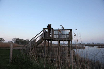 Photograph of person bird watching at Long Point Biosphere, investment property  on the Gold Coast of Ontario, on Lake Erie