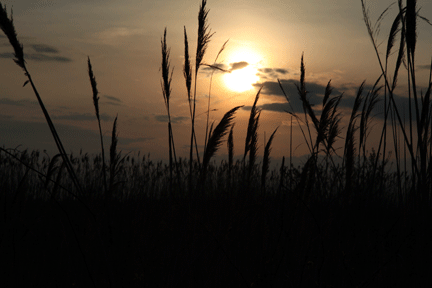 Photograph of sunset on Long Point Beach, investment property on the Gold Coast of Ontario, on Lake Erie